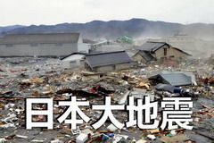 日本大地震牵动中粮人
