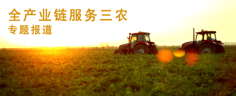 全产业链