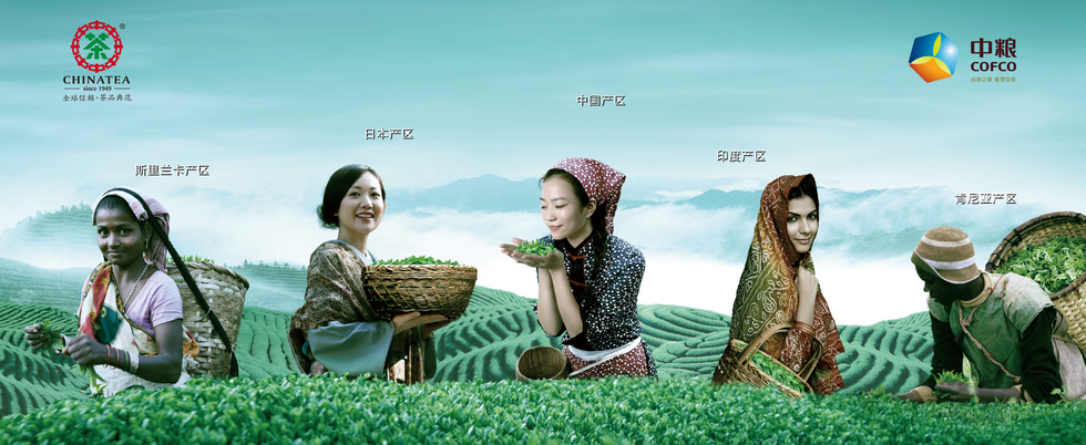 中茶