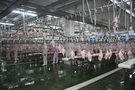 中粮肉食（宿迁）有限公司屠宰厂投产试车乐成